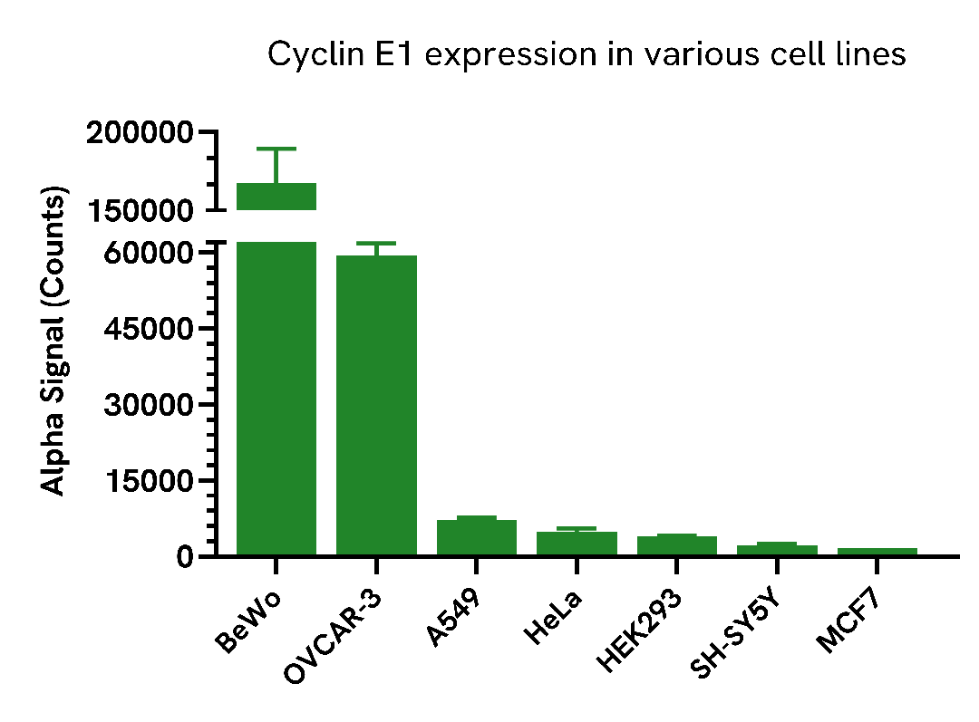 Versatility of Total Cyclin E1 assay in various cell lines