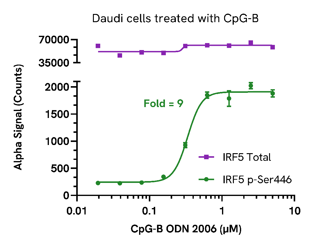 Validation of Phospho (Ser446)/Total IRF5 in CpG-B treated endogenous cell lines