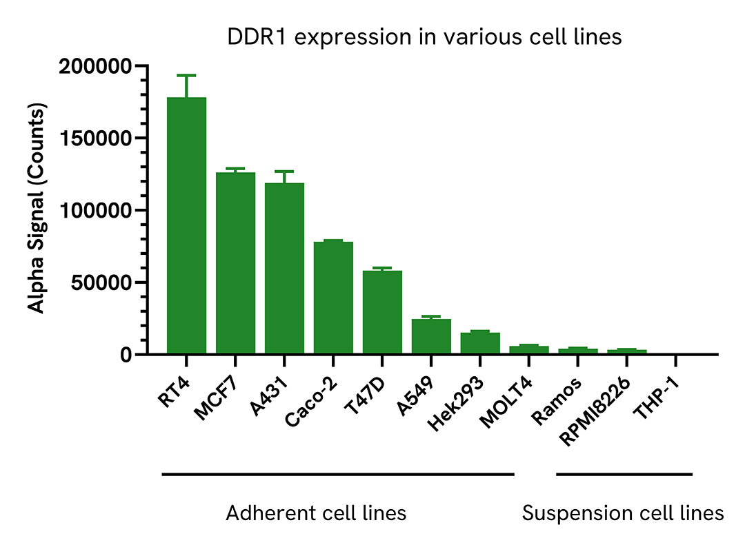 Versatility of Total DDR1 assay in various cell lines