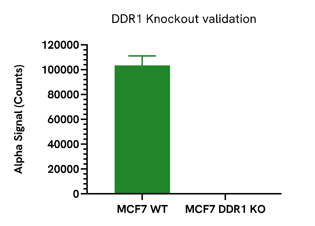 Specificity of DDR1 Total assay