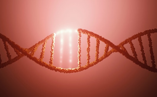 deaminet blog thumbnail