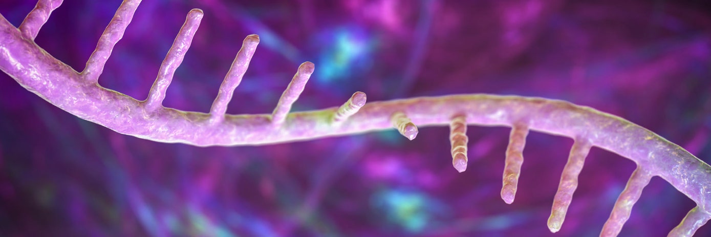 Decoding Long Non-Coding RNAs: Emerging Tools and Technologies in Functional Genomics