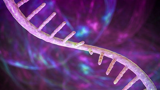 img-decoding-long-non-coding-rnas-thumbnail-512x288.jpg