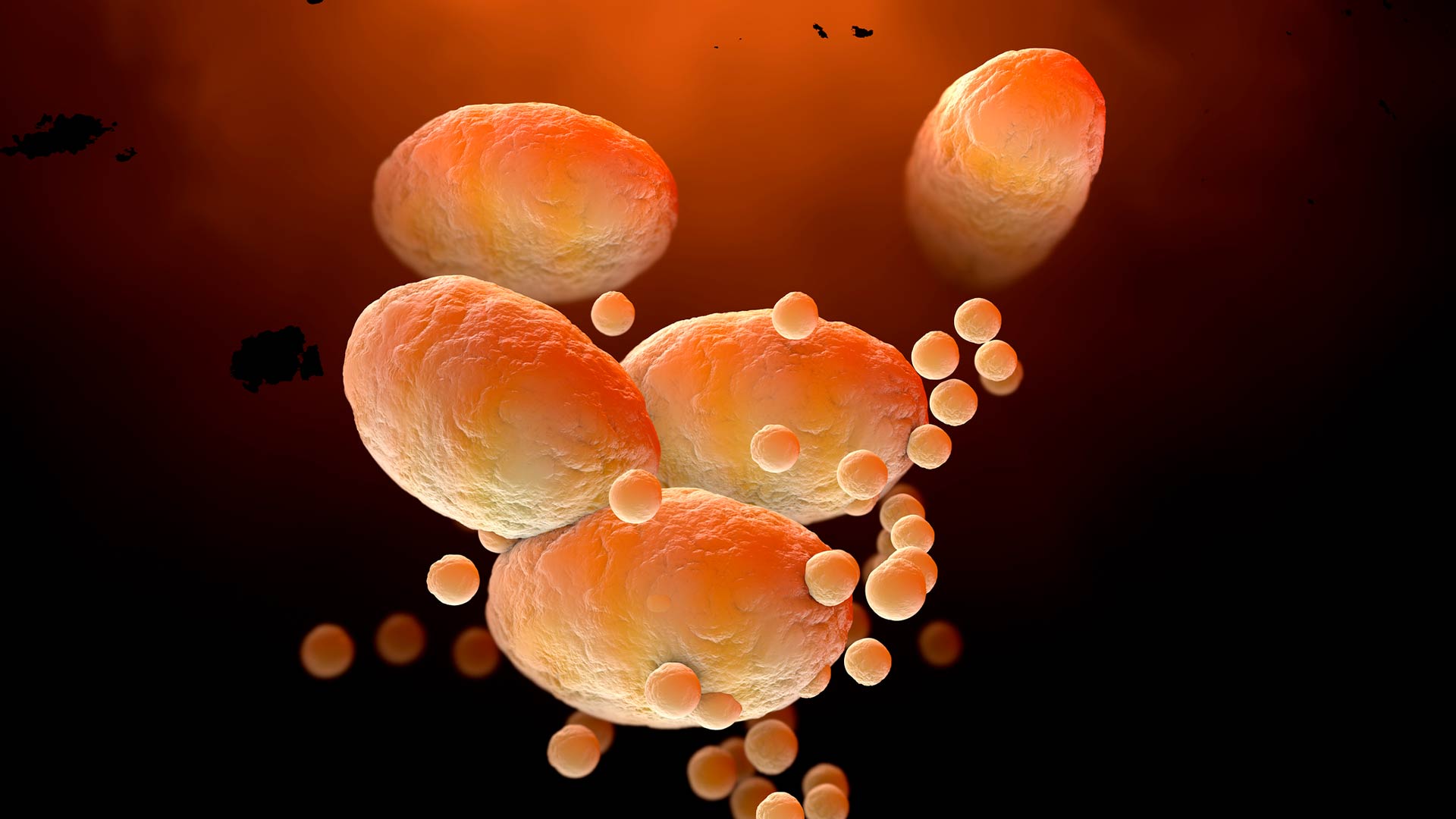 decoding tirzepatide thumbnail