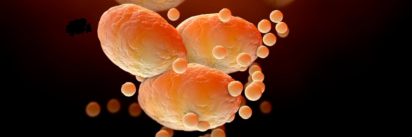 decoding tirzepatide hero