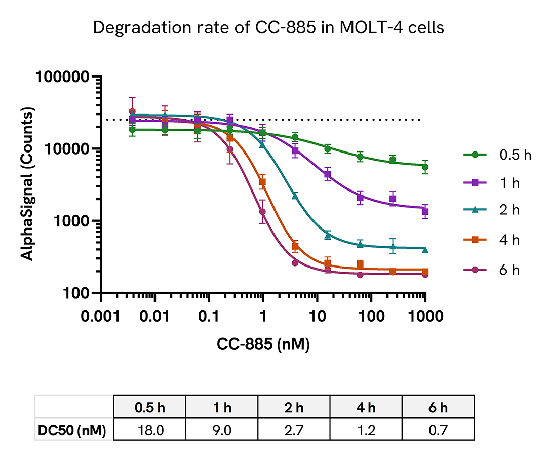 Time-dependent GSPT1 degradation in MOLT-4 cells