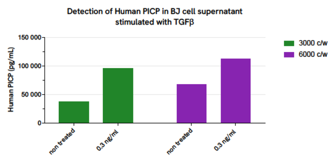 Detection of Human PICP in BJ cell supernatant stimulated with TGFβ