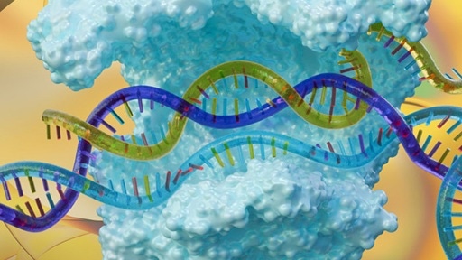 img-dharmacon-crispr-512x288.jpg