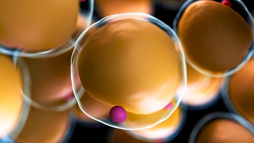 diabetes and metabolic disease reagents thumbnail