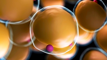 diabetes and metabolic disease reagents thumbnail