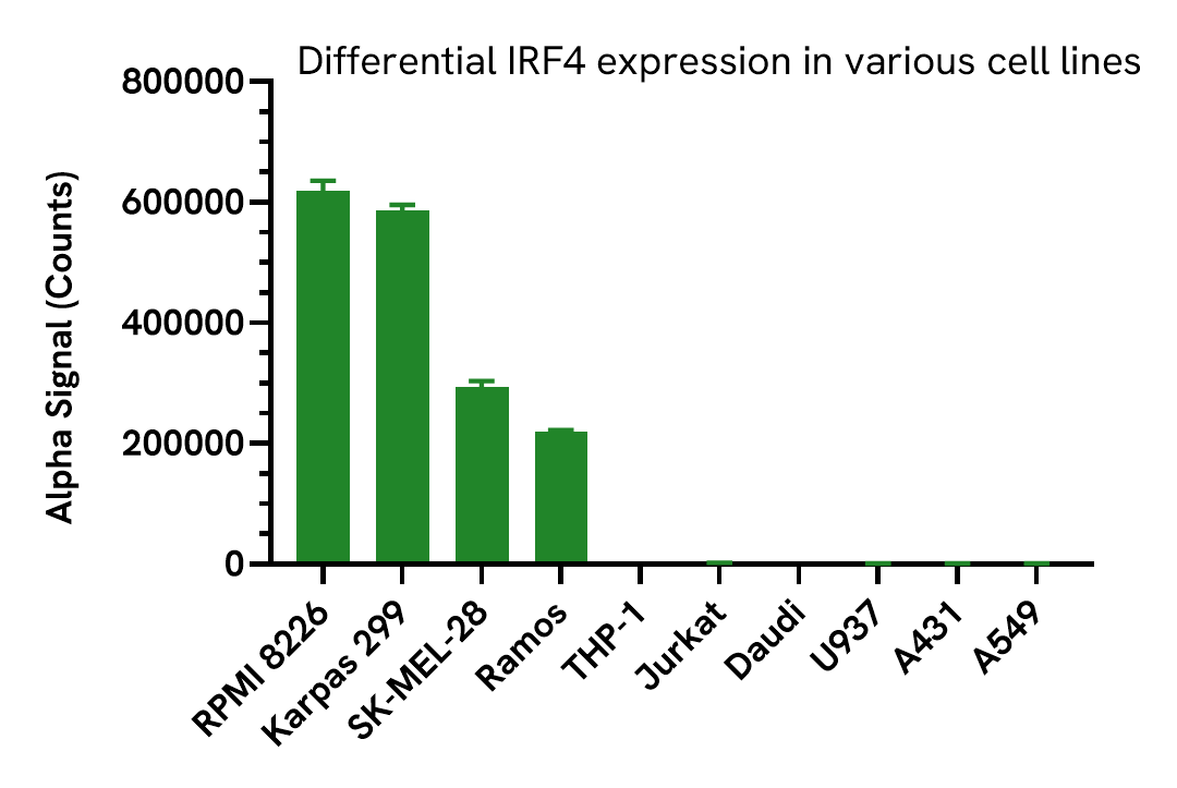 Specificity of Total IRF4 in various cell lines