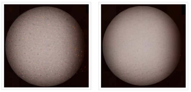 Direct counting of individual infected cells-1