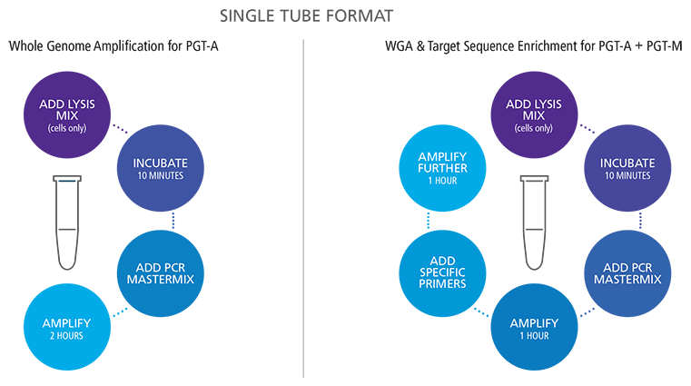 Diagram of DOPlify WGA V2 single-tube workflows. Left: PGT-A WGA, Right: PGT-A + PGT-M with Target Sequence Enrichment.