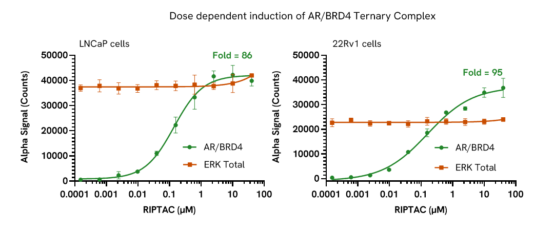 Pharmacological validation (activator) of AR/BRD4 assay