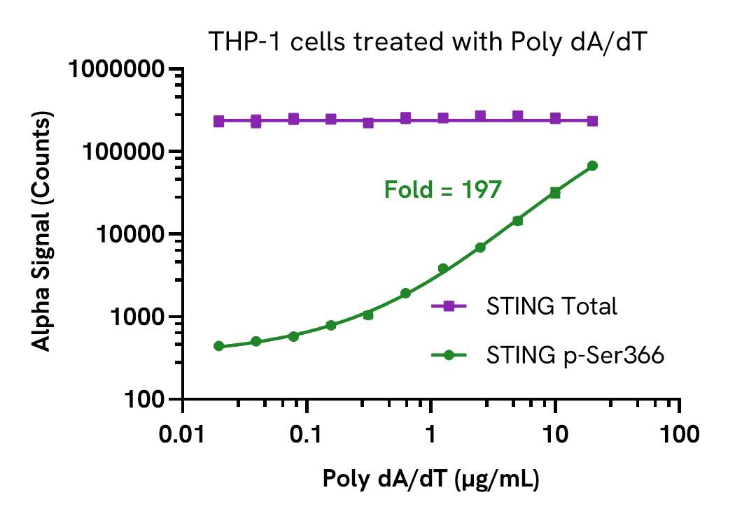 Pharmacological Validation (Activation) of STING pSer366