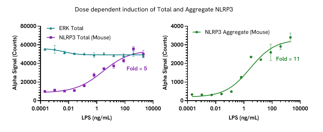 Assay Validation