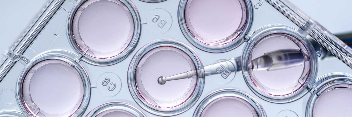 driving innovation hero