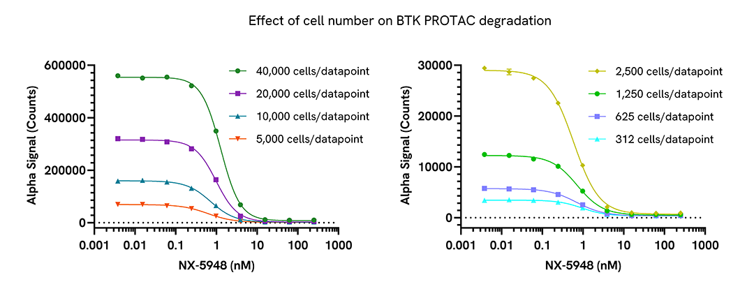 Optimization of PROTAC induced BTK degradation