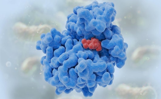 efficacy cdk4 thumbnail