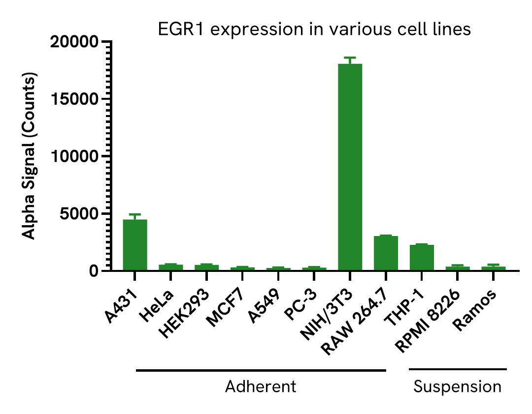 Versatility of EGR1 Total assay in various cell lines