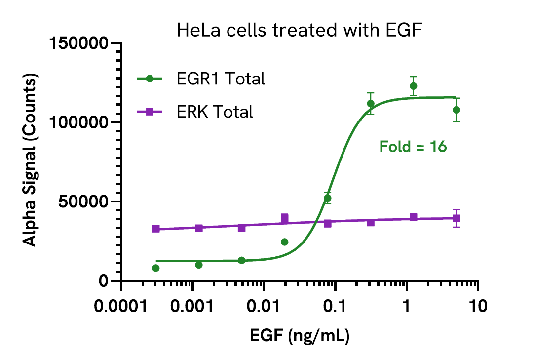 Pharmacological Validation (activator) of EGR1