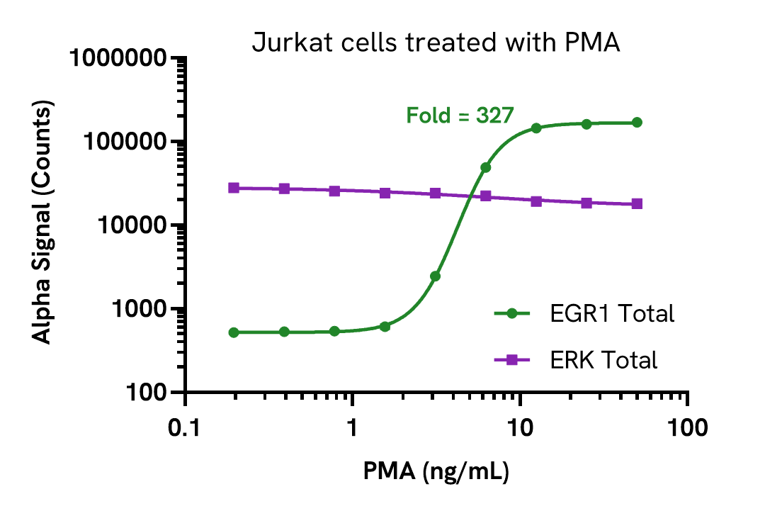 Pharmacological Validation (activator) of EGR1
