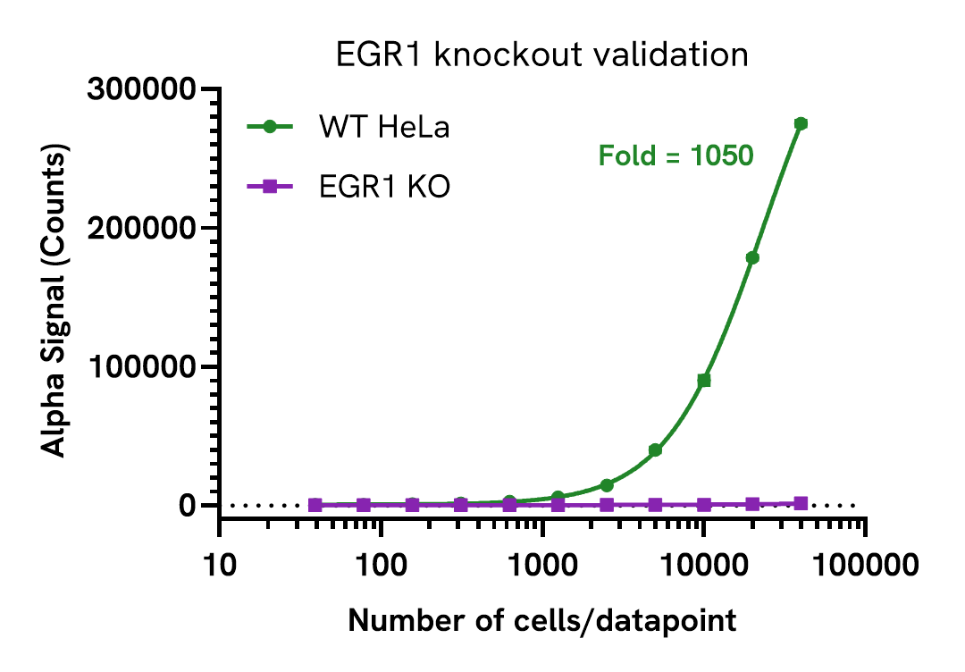Knockout validation of EGR1 Total Assay