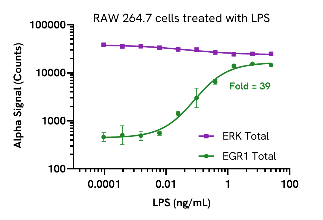 Pharmacological Validation (activator) of EGR1