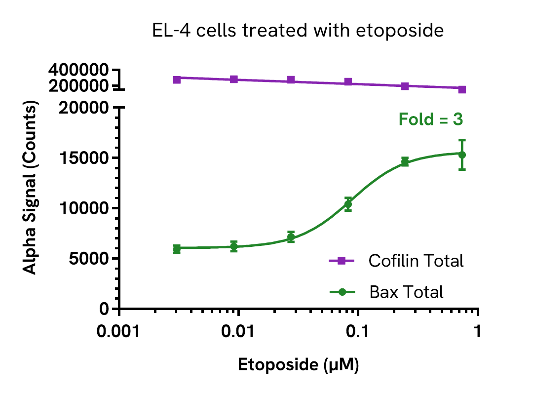 Pharmacological Validation (Activation) of Bax Total assay