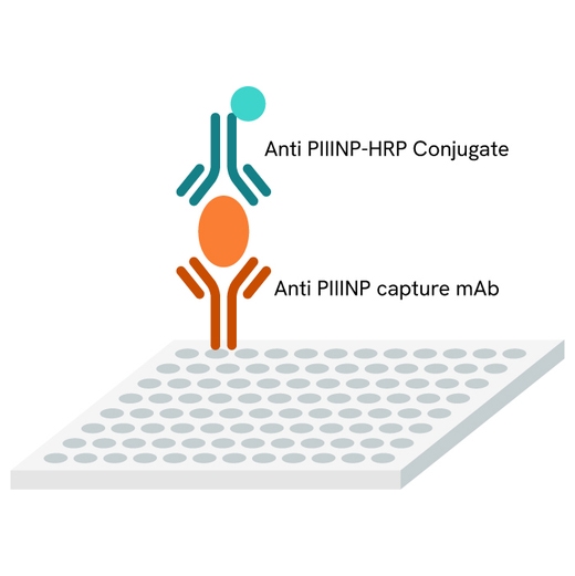 ELISA PIIINP primary image