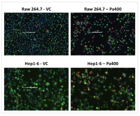 img-engineering-cho-cells-using-crispr-technology-2.PNG