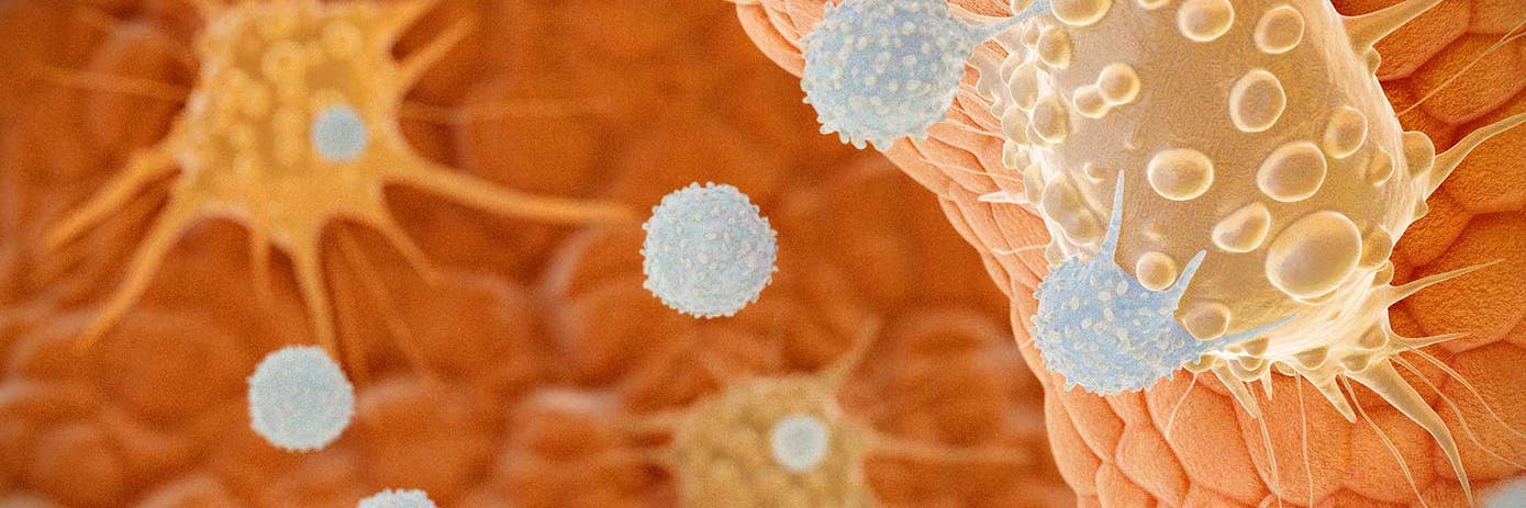 Enhancing CAR NK-cell research with chemically defined serum-free culture solutions