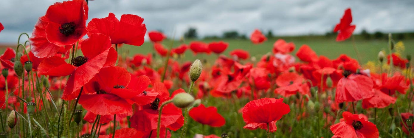 Enhancing whole blood RNA-seq with globin depletion strategies.