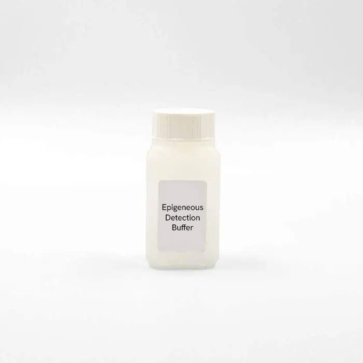 Epigeneous Detection Buffer 1