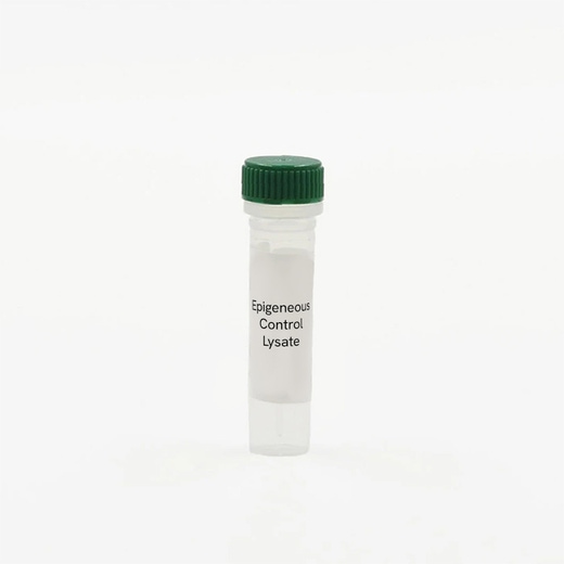 Epigeneous vial control lysate