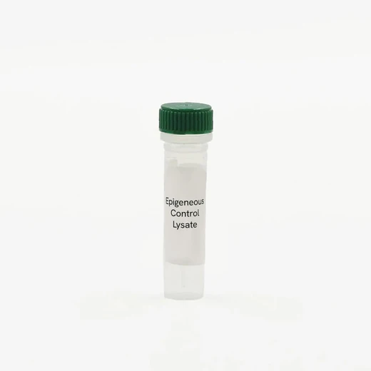 Epigeneous vial control lysate