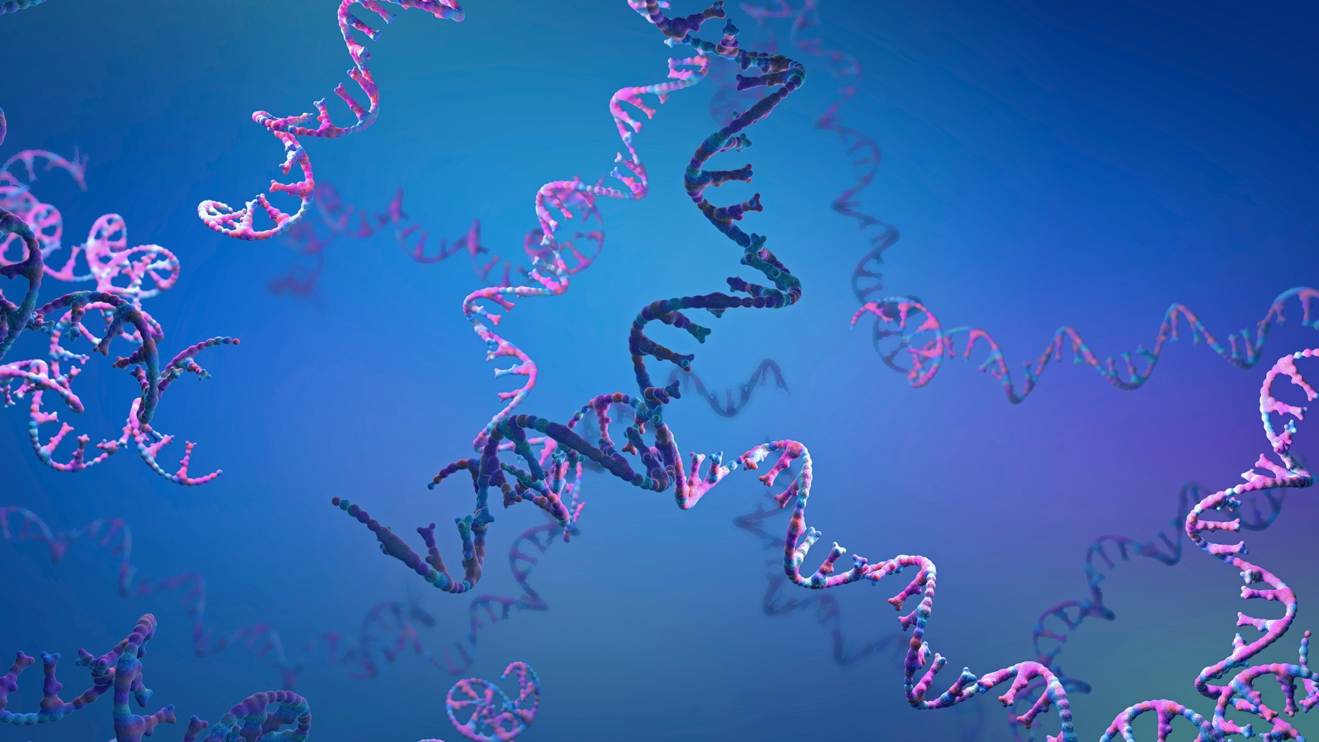 epitranscriptomic 1920x1080
