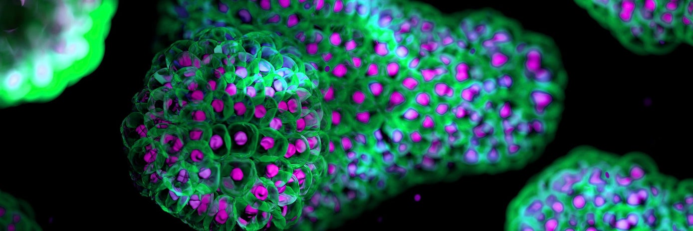 essential characterization hero