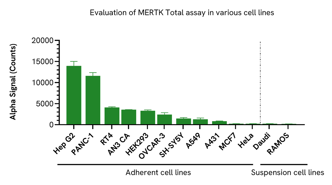 Validation of MERTK Total assay in various cell lines