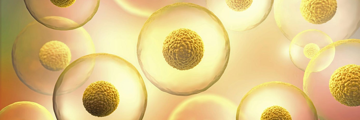  Optimizing Biotherapeutic Cell Lines for Continuous Manufacturing hero