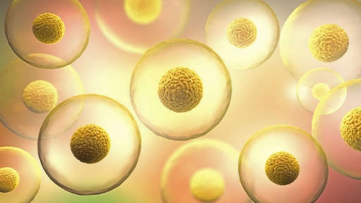 Optimizing biotherapeutic cell lines for continuous manufacturing