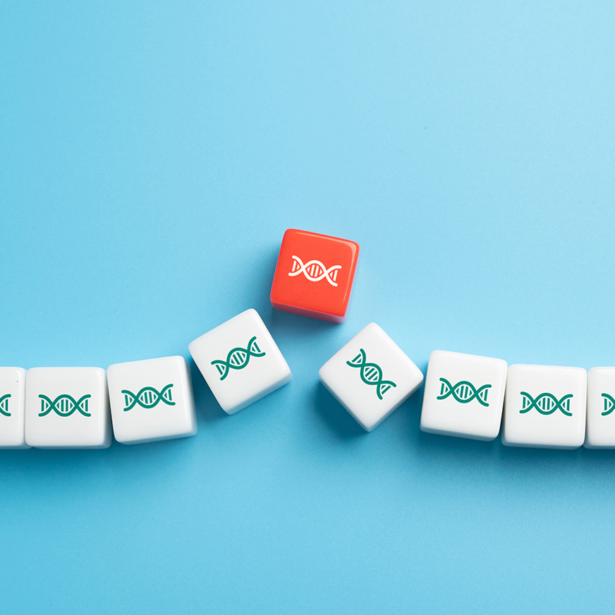 Gene-modified cell undergoing ex vivo therapy