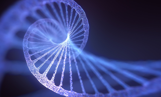 Exact genomic interpretations