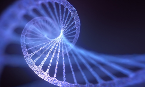 Exact genomic interpretations