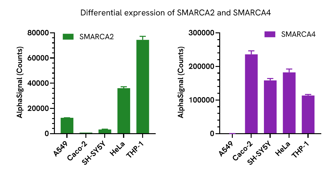 Specificity of SMARCA4 Total assay in various cell lines