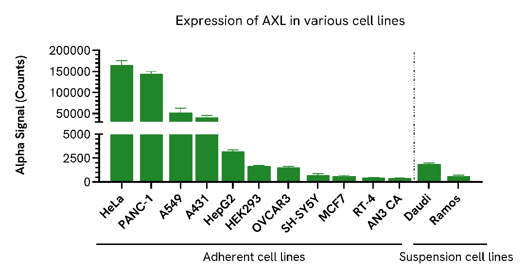 Expression of AXL in various cell lines