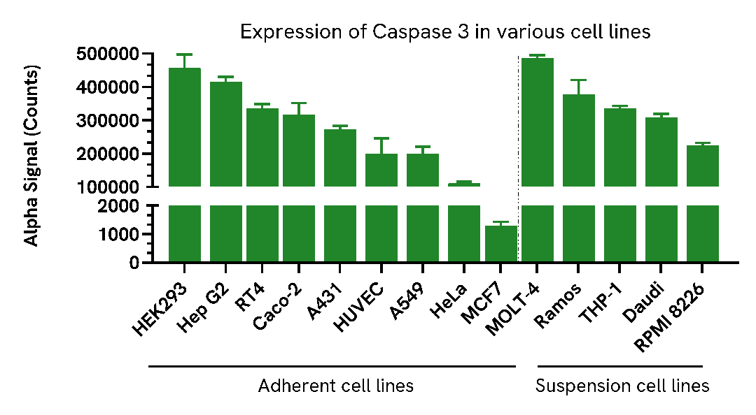 Expression of Caspase 3 Total in various cell lines