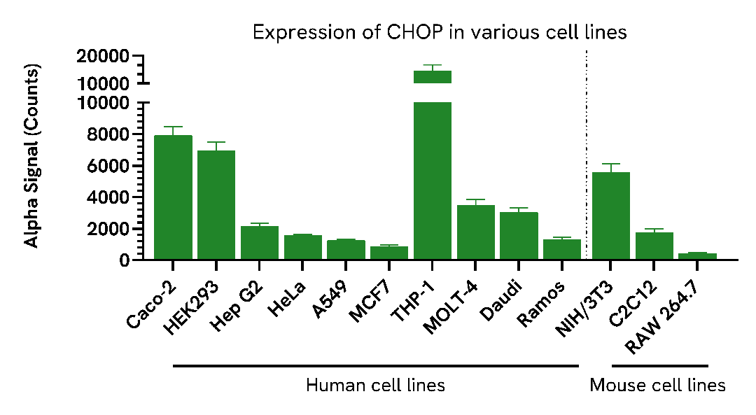 Expression of CHOP in various cell lines