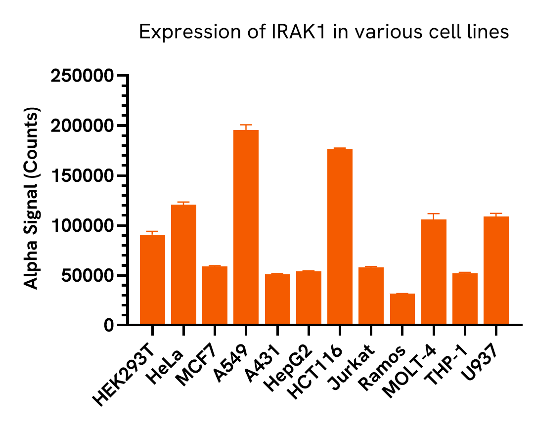 Versatility of Total IRAK1 assay in various cell lines