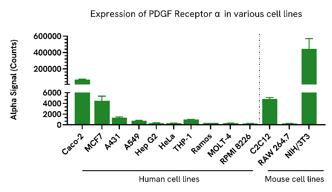 Expression of PDGF Receptor α in various cell lines